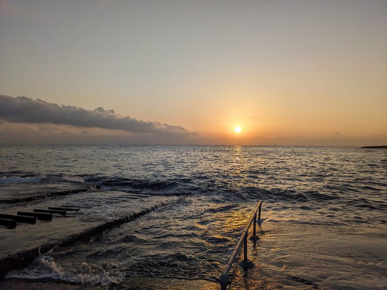 Marine wildlife Malta